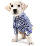 Slim Fit Long-Sleeve Dog Shirt