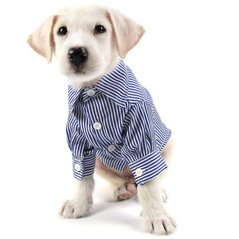 Slim Fit Long-Sleeve Dog Shirt