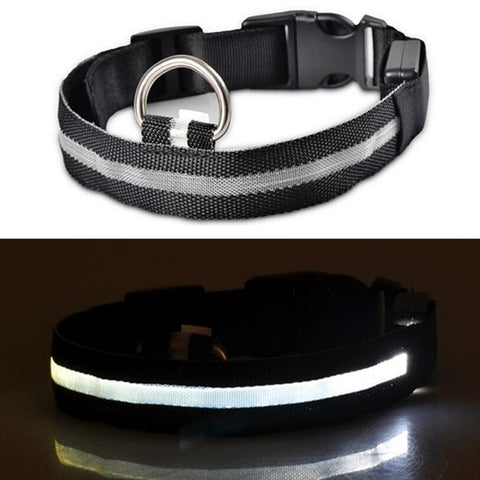 Nylon LED Pet Dog Collar