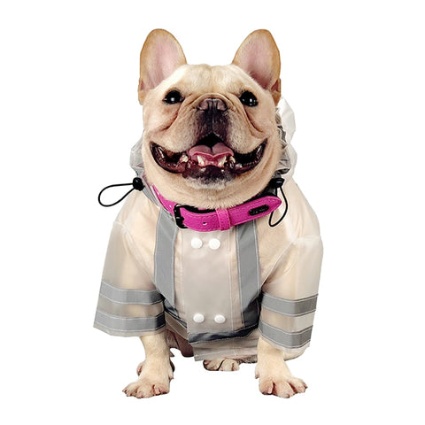 Transparent Raincoats for Pugs