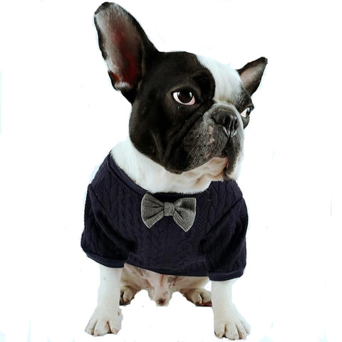 Bowknot Pug Sweater