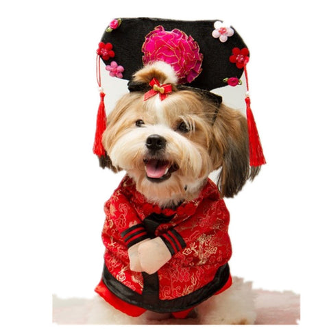 Funny Chinese Princess Costume