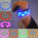 Rechargeable Waterproof LED Collar