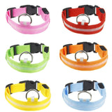 Nylon Solid LED Dog Collar