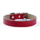 Adjustable Simple and Solid Collar